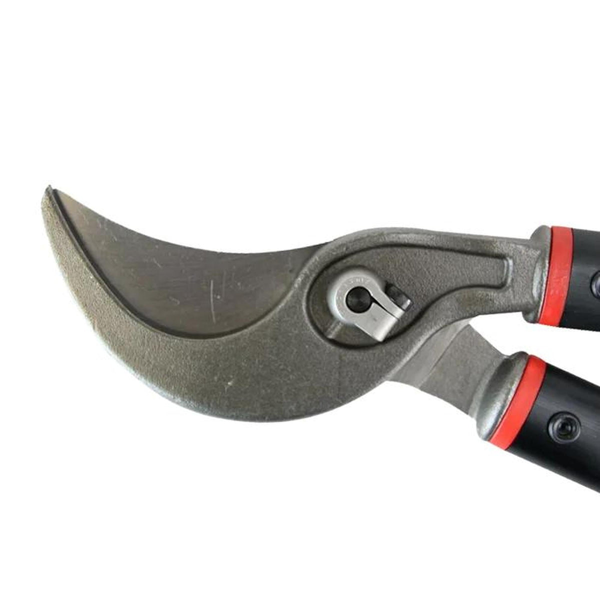 Bellota Pro Line Bypass Pruners / Loppers - 50mm Cut / 75cm Handles