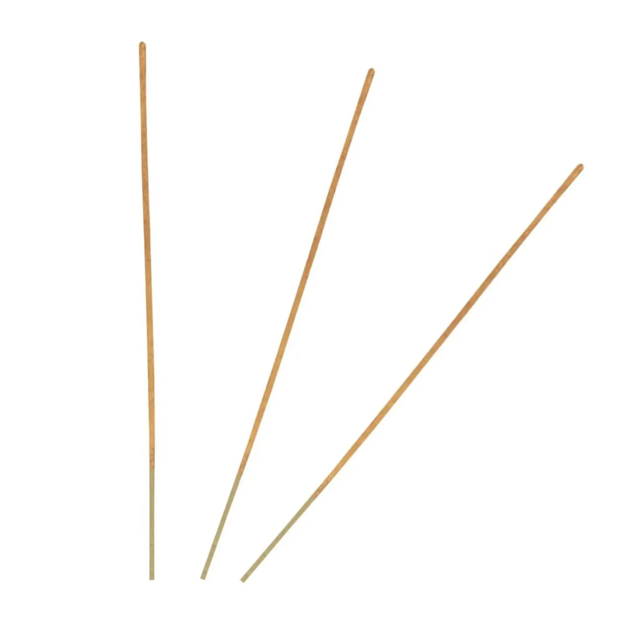 Elements Pumpkin Spice Incense Sticks & Ceramic Holder Gift Set