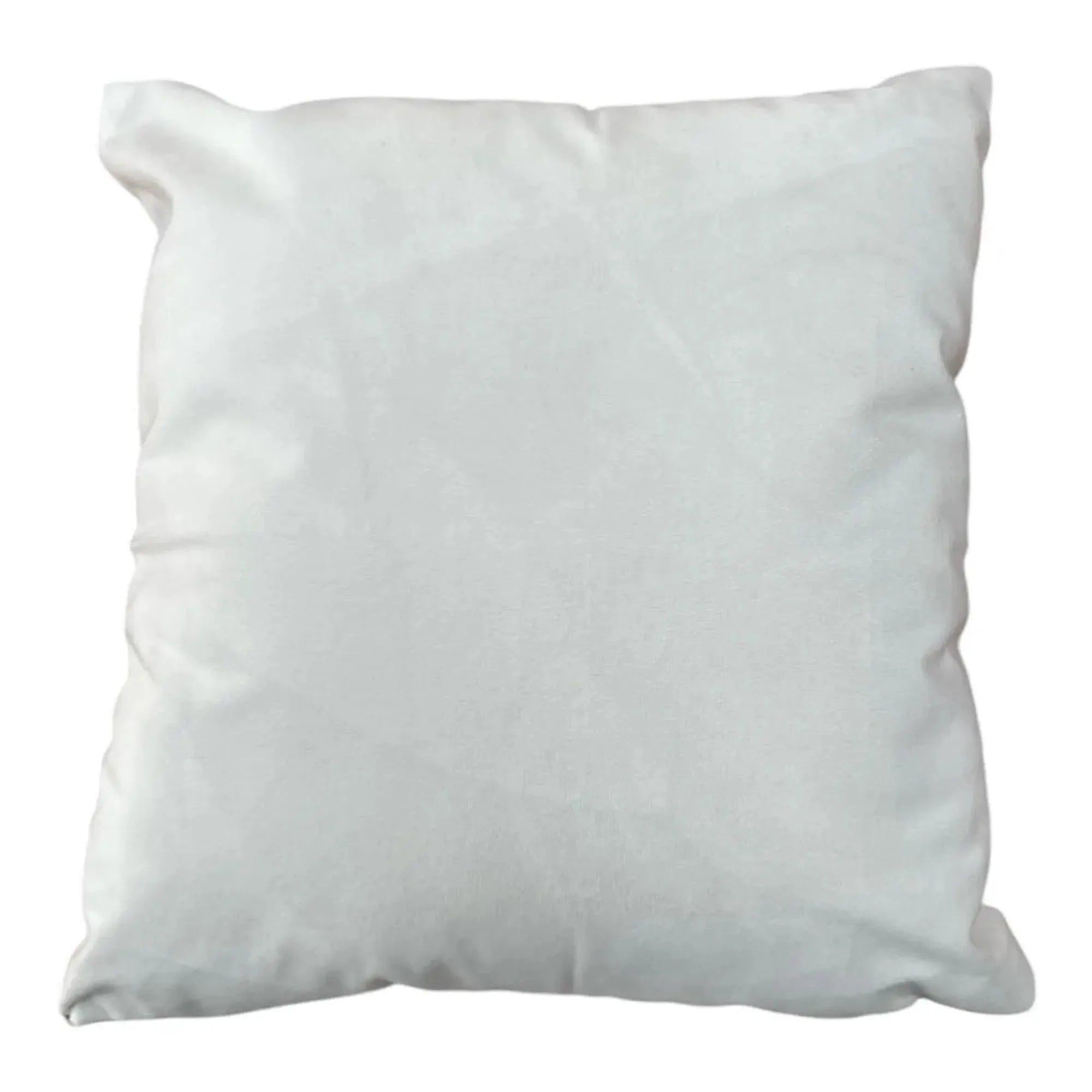 Smokey Bear Only You Can Prevent Wildfires Cushion