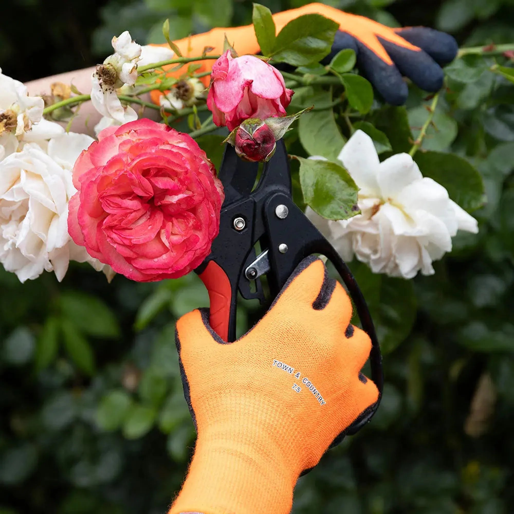 Town & Country Mastergrip Thermolite Gloves - Orange