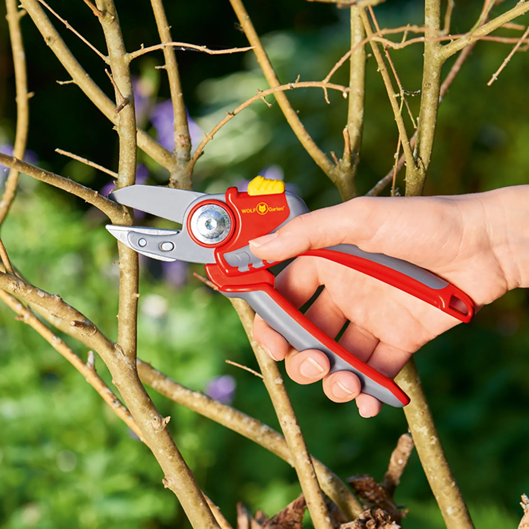 Wolf Garten RS4000 Premium Plus Anvil Secateurs