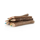 CEuk Twig Pencils & Explorer Roll-Up Case