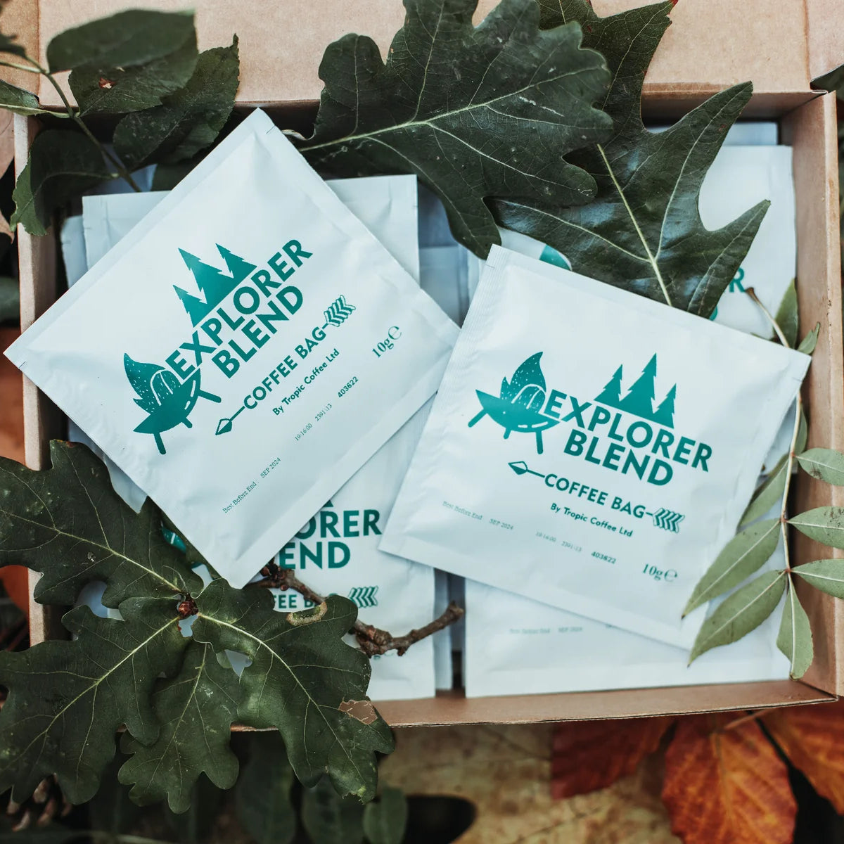 Explorer Blend coffee bags in a cardboard box with green leaves around
