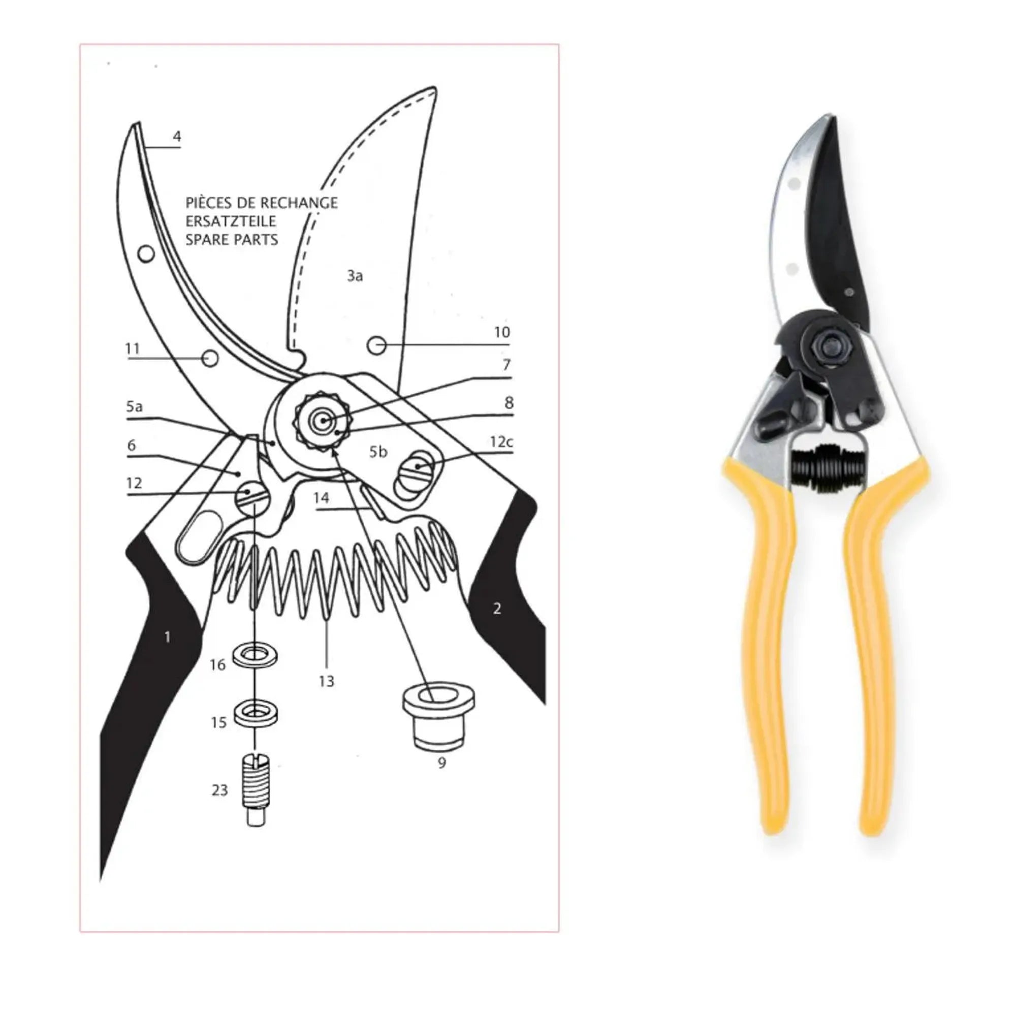 Leyat 1917 - 23 Back Screw