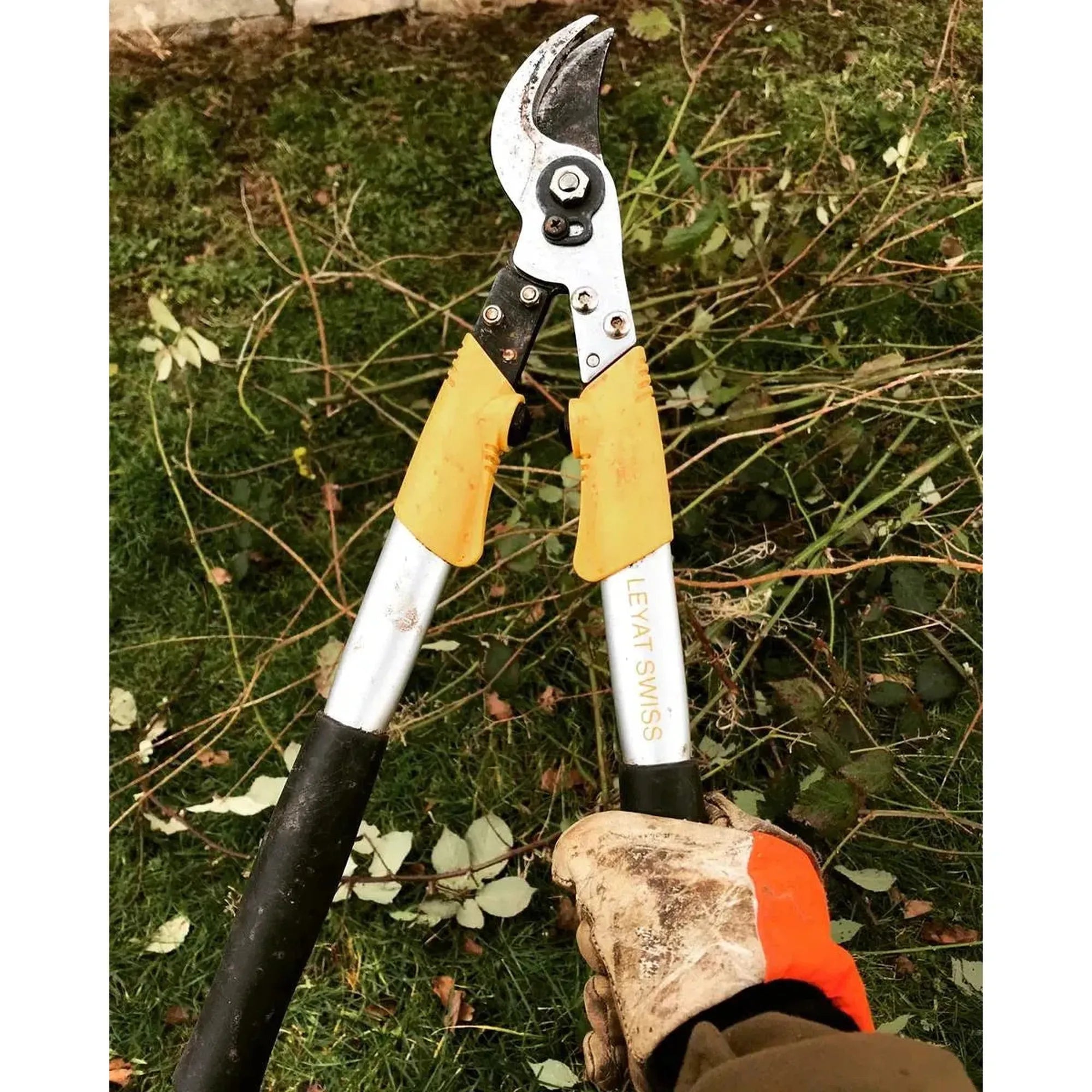 Leyat Professional Compact Loppers (45cm)