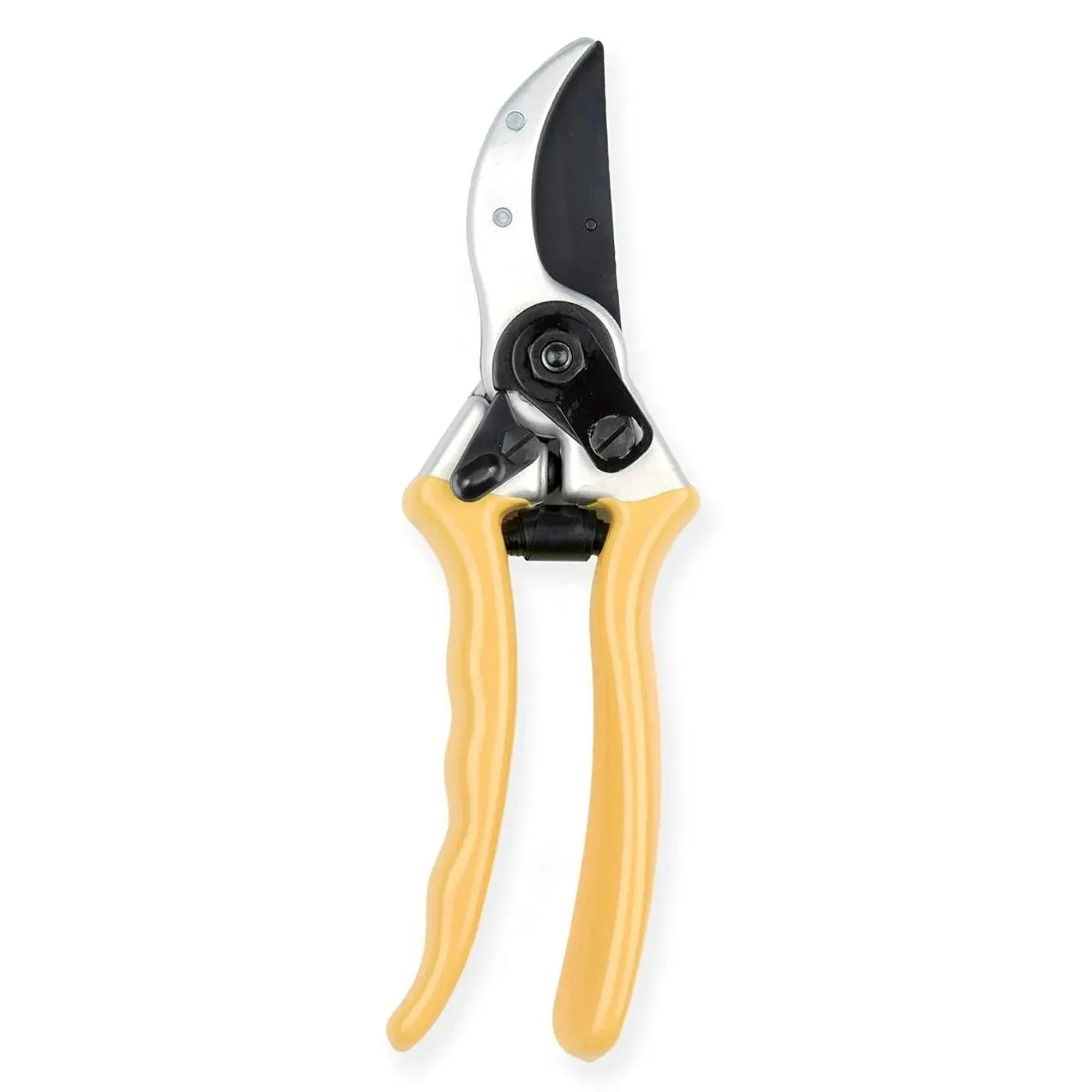 Leyat Professional Ergo Pro Secateurs No. 2