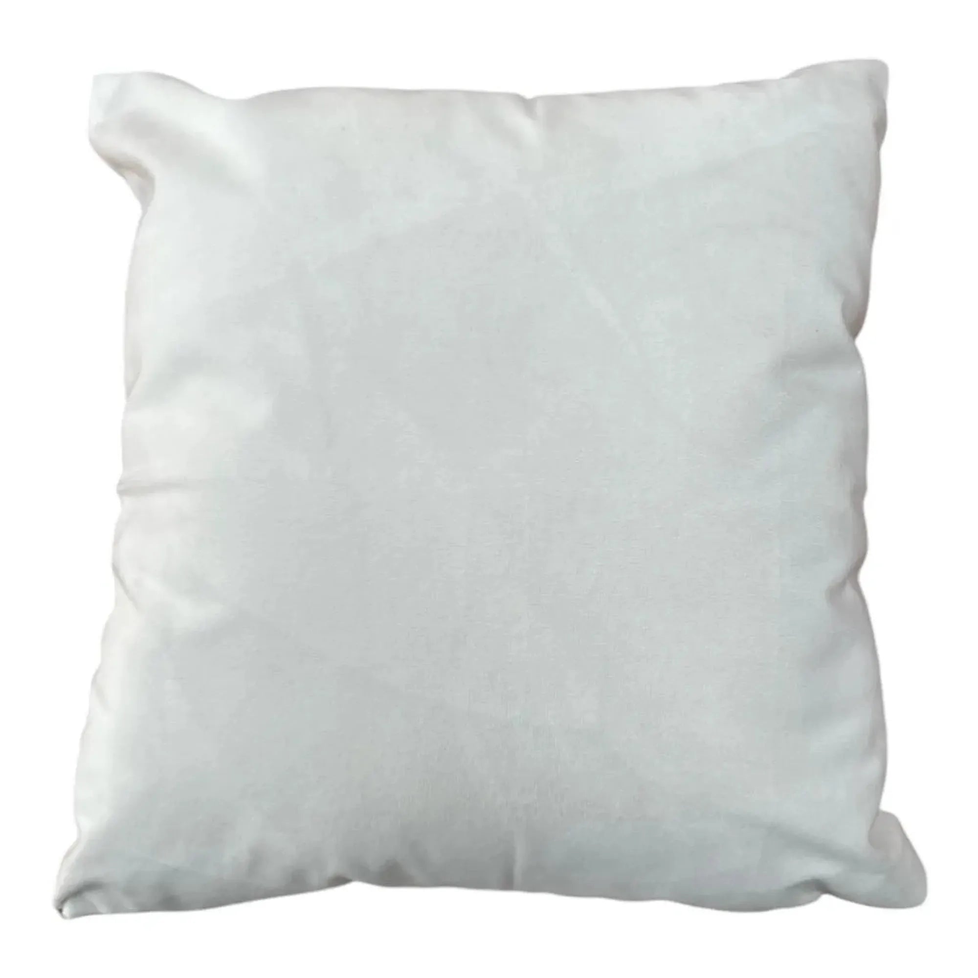 Smokey Bear Only You Can Prevent Wildfires Cushion