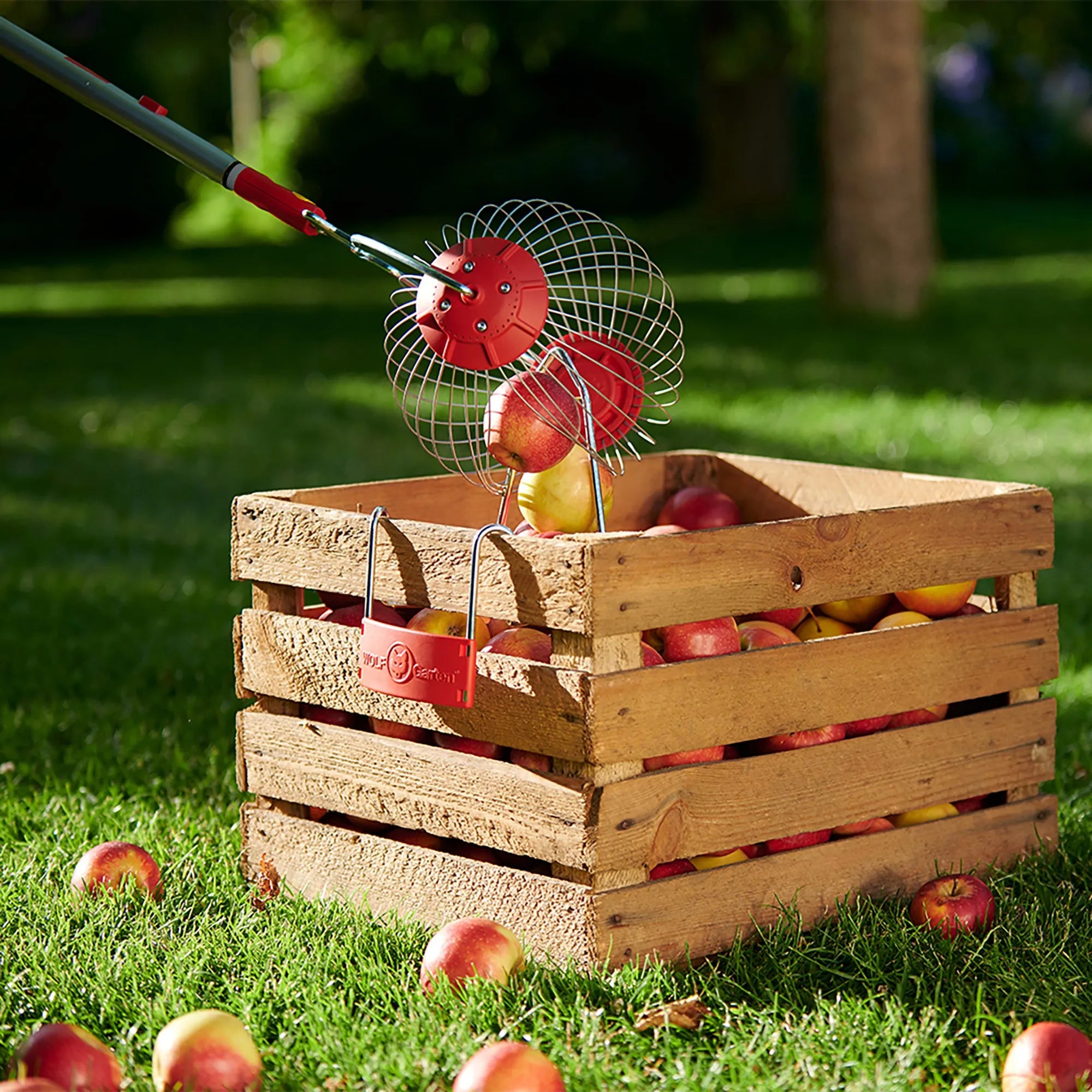 Wolf Garten multi-change® Fruit Collector