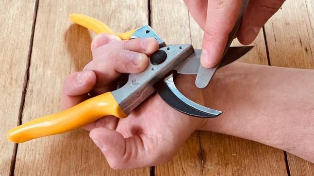 Leyat Secateurs - Sharpening