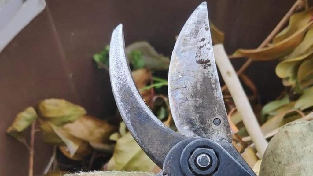 sharpening guide