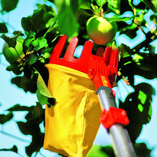 Wolf-Garten multi-change® Adjustable Fruit Picker - Image 2