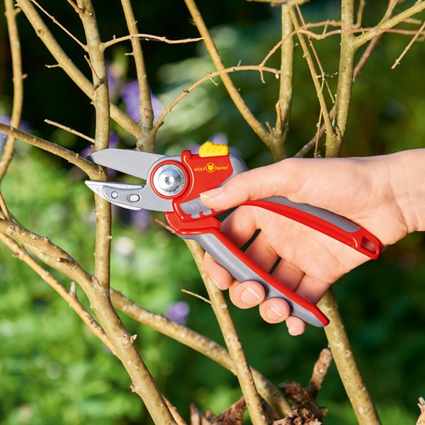 Wolf Garten Premium Plus Anvil Secateurs - Image 2